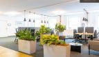 + + + Büroflächen und Co-working | NÄHE MARIAHILFERSTRASSE + + +