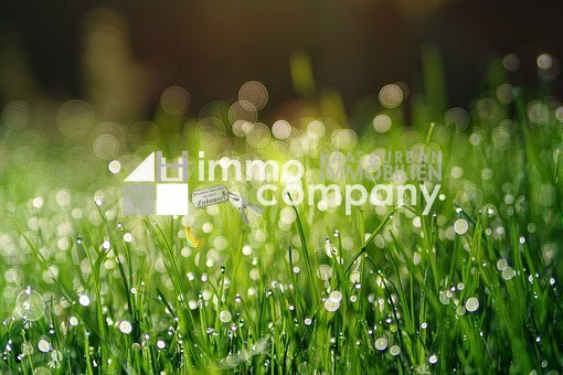 grass-3345960__340