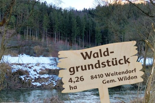 Waldgrundstück zu verkaufen