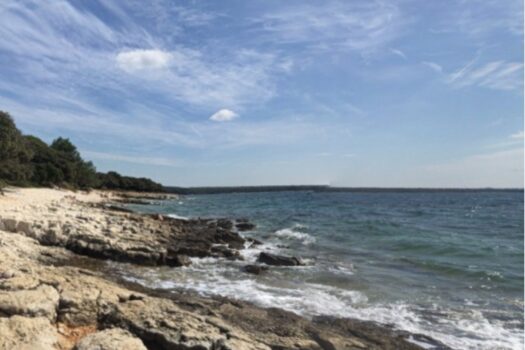 1727427440 1000012399 1