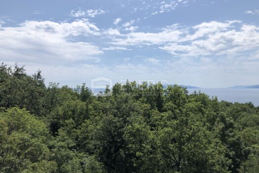 1563291065 img 5909 4