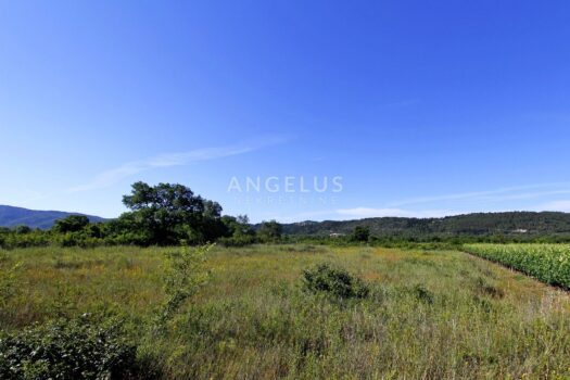 1625248707 1 land 2 opti