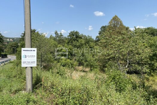 1629708183 img 9044 4