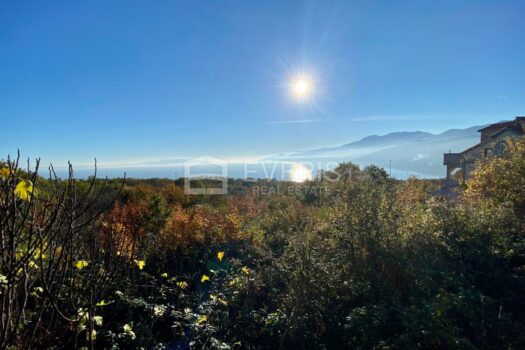 1637576983 img 0472 4