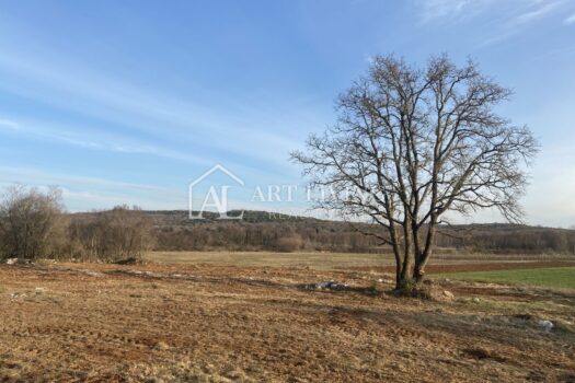 Istrien - Bale, Äußerst wertvolles landwirtschaftliches Land 11.200 m2 1646901301 img 1369