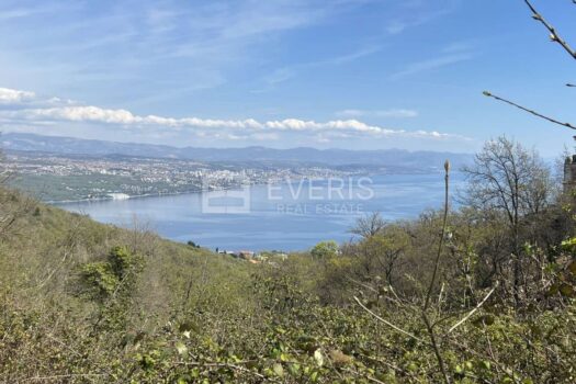 1650451934 img 0074 4