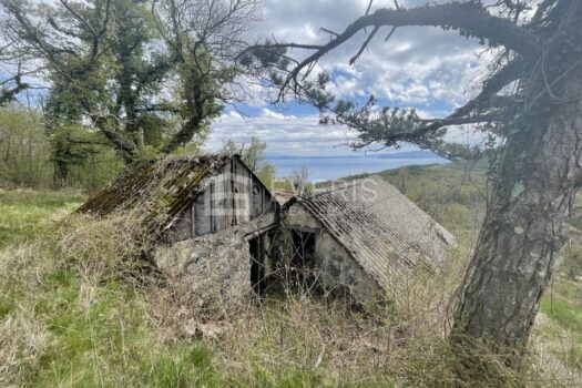 1651147167 7b24ef79 0233 4d7c 8593 a0f5b51b8b22 4