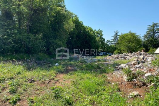 1653393864 img 3913 4