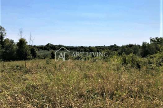Novigrad-Umgebung, Baugrundstück 3618 m2 mit Meerblick 1658226730 1
