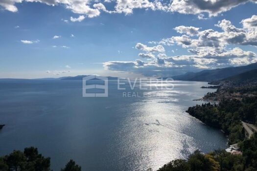 1658310478 fe136622 7479 4020 9fd8 e9ec13c38731 4