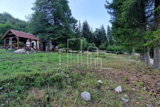 1659292596 20220731 190050