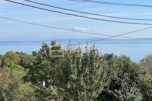 1665578249 img 7050 4