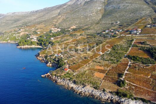 1668251851 2 dji 0364