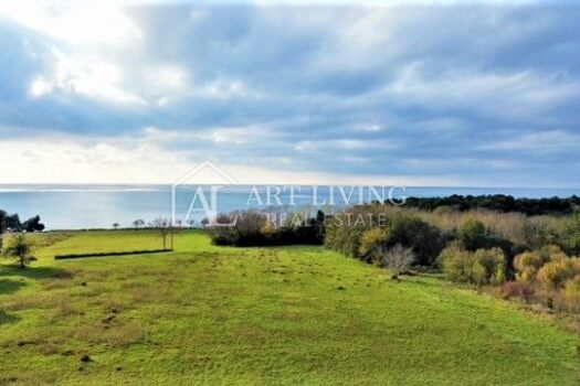 1669301621 dji fly 20221121 131030 144 1669032800131 photo optimized