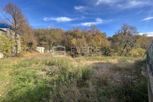 1672322894 img 7940 4