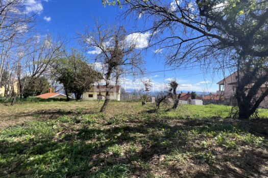 1680188854 d7ae6d44 5c76 426a 8e76 5bb8092fb626 4