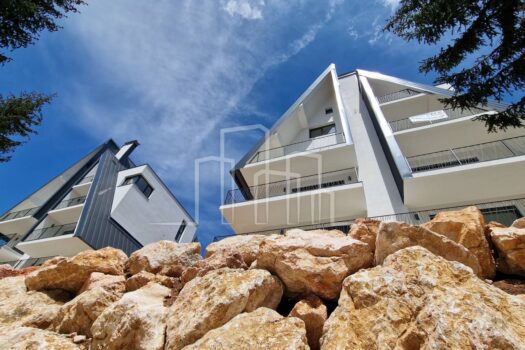 1683445813 20230506 125007