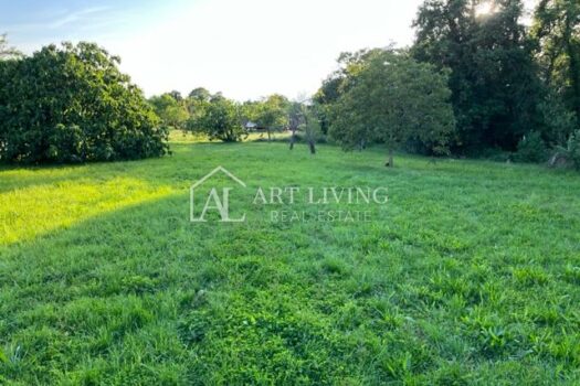 Novigrad-Umgebung, Attraktives Baugrundstück 300 m vom Meer entfernt 1684488546 img 4391