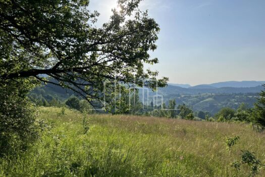 1687331528 viber image 2023 06 21 09 08 06 667