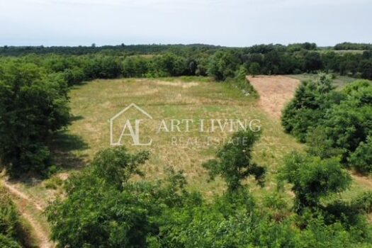 1688737172 dji fly 20230630 134306 392 1688125459588 photo optimized 2