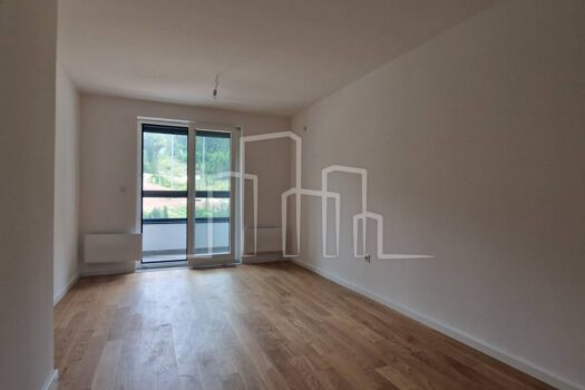 1691757977 20230810 160551 1