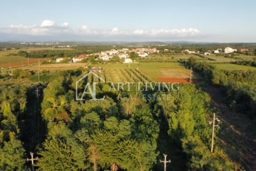 1693645142 dji fly 20230901 185536 580 1693587550124 photo optimized