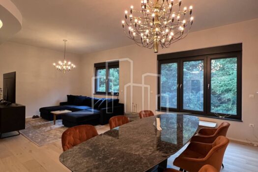 1695652354 img 4258 1