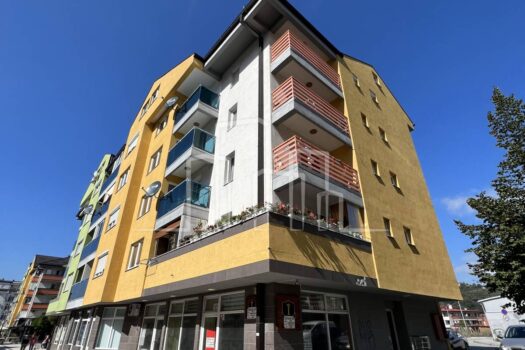 1696251976 img 4504 1