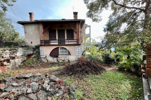 1699519566 img 3546 4