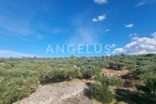 1699540049 photo 2023 11 08 14 34 02