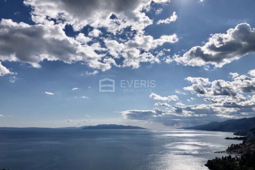 1699608308 img 5019 4