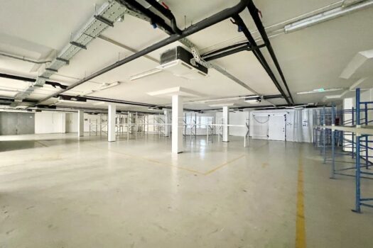 1699958877 img 2440 4