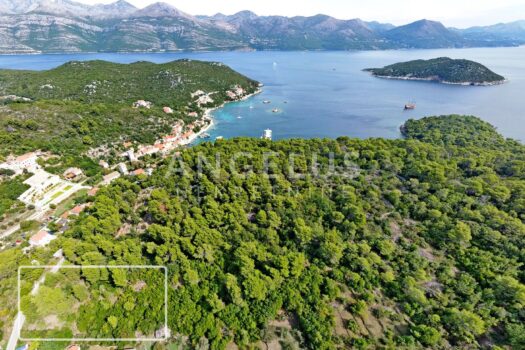 1700645405 1 main marked