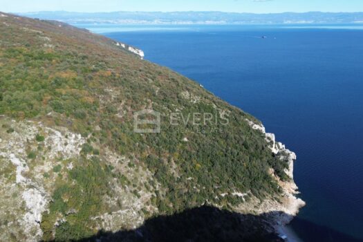 1703159400 dji 0798 4