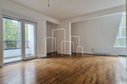 1707565383 6e90fff8 9e87 4903 8571 87fa8330f158