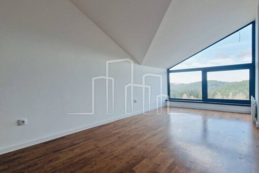 1707567626 732241c4 fcec 4c02 9bb9 ec713dfc2c7c