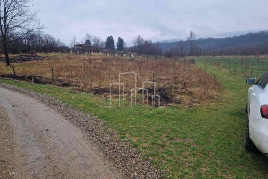 1710148142 viber image 2024 03 11 10 04 24 605