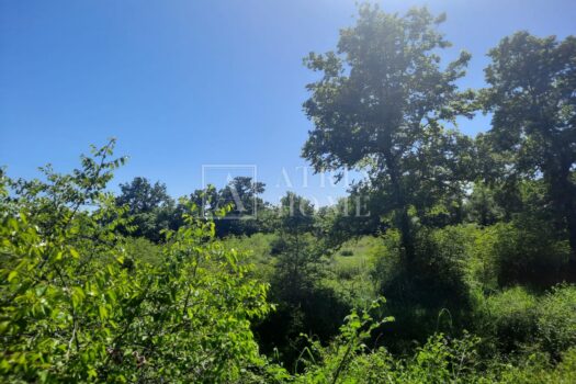 Grundstück Poljica Brig, Nin, 1.457m2 1714803628 p 6