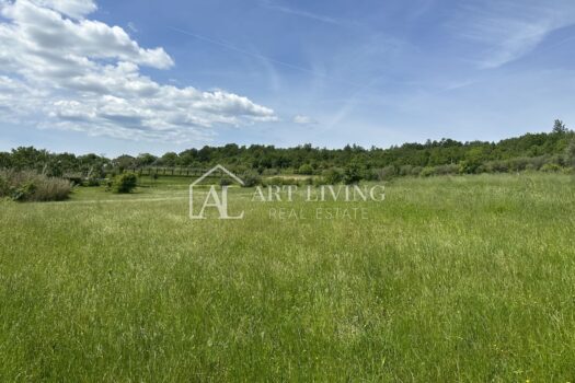 1715683150 image00007