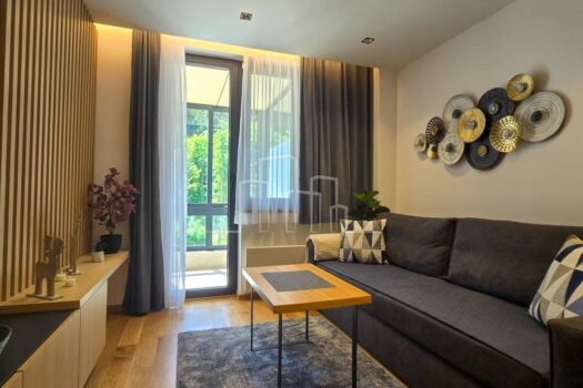 1717242122 20240601 110532