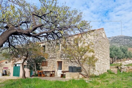 1717676676 front marked 1