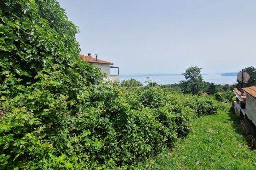 1719492501 20240619 132119 4