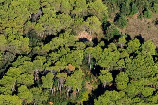 1720173098 1000005630 1