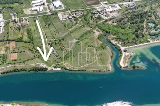 1721502959 1000028790