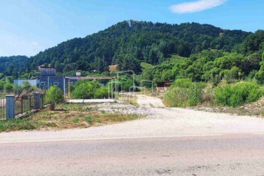 1721723276 viber image 2024 07 23 10 20 08 487