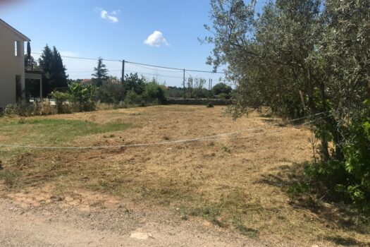 1722241359 1000007421 1