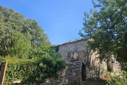 1722274307 1000007493 1