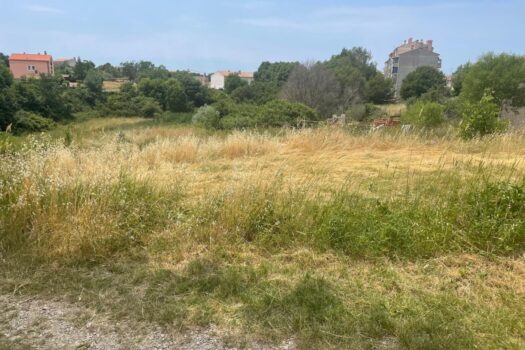 1722330639 1000007590 1