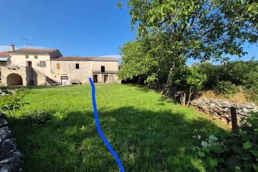 1722333551 1000007534 1