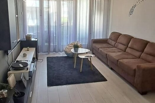 1723794840 1000009247 1